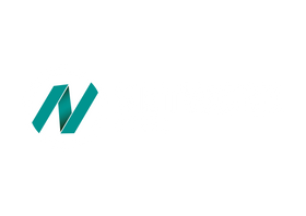 Network Steel Logo